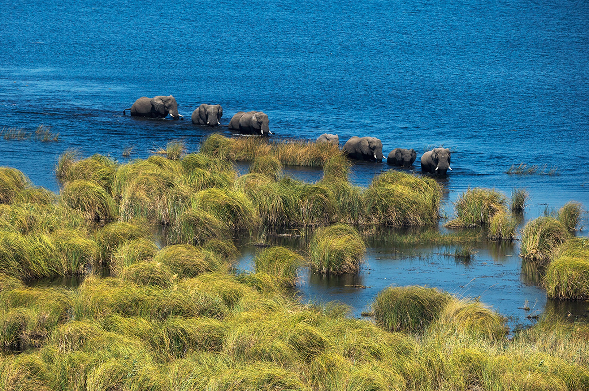 Terra, il nuovo documentario di Yann Arthus-Bertrand