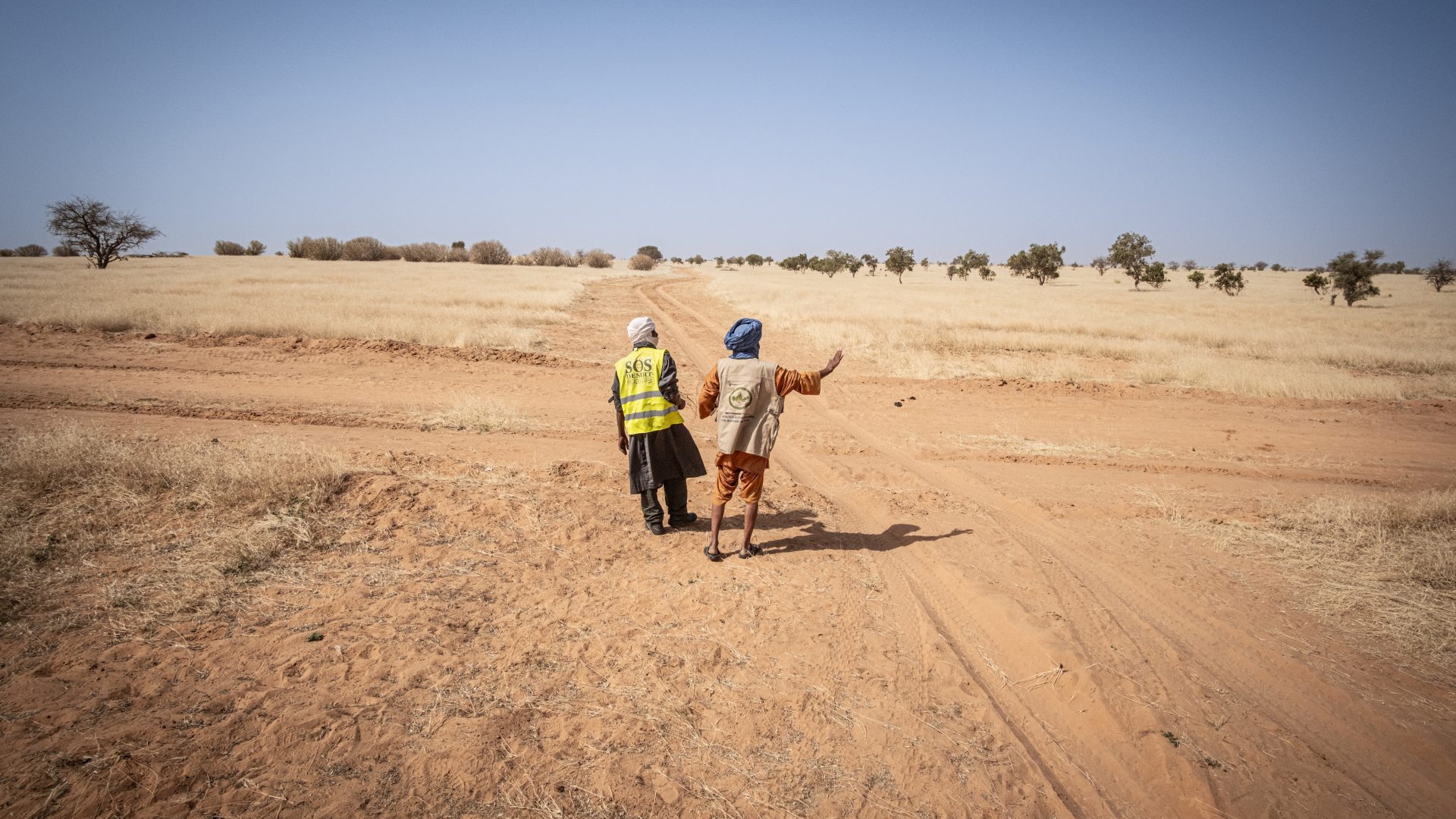 LongForm Sen Mau LifeGate-23