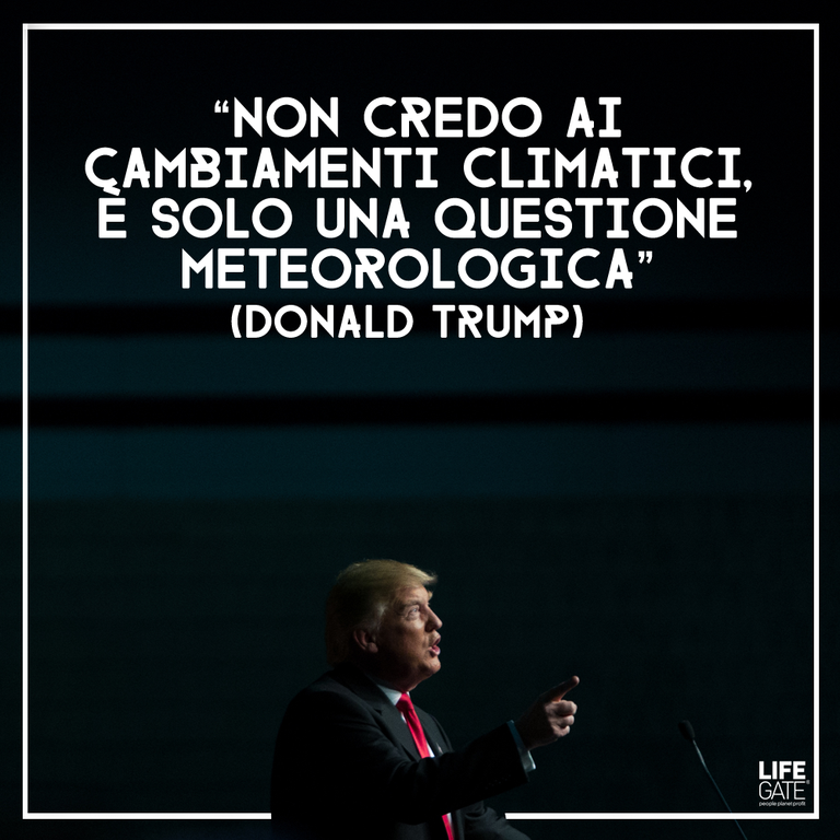 Citazione di Donald Trump