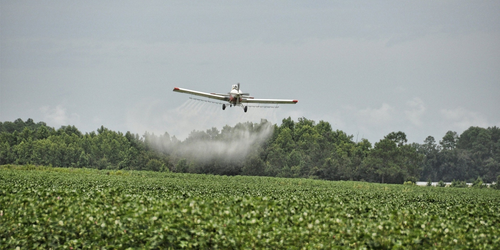 The Bayer Monsanto merger had been signed sealed and delivered: what