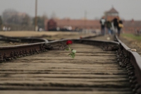 Il 27 gennaio è il Giorno della memoria