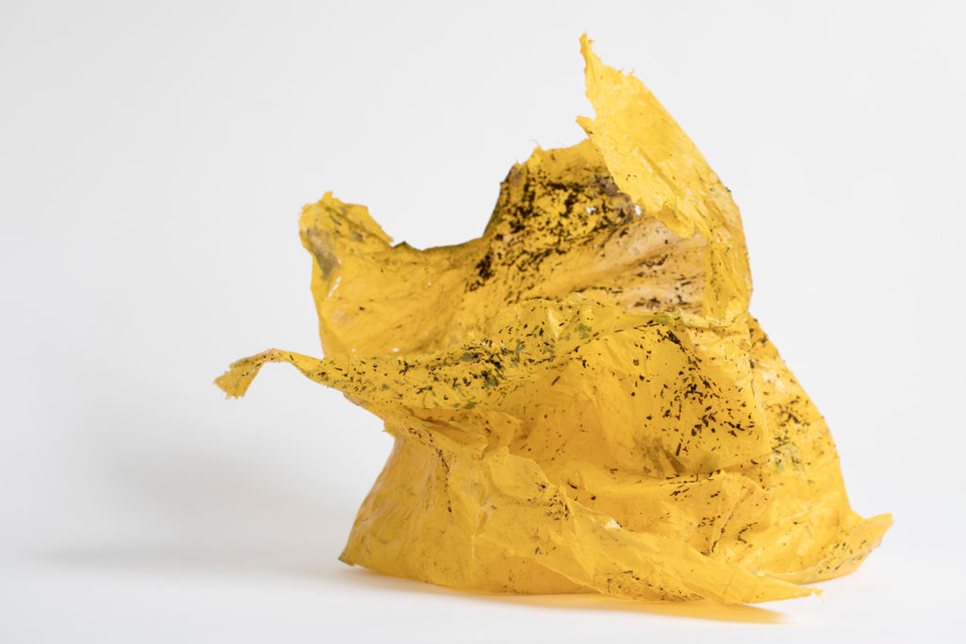 Plastic found along the UK coastline