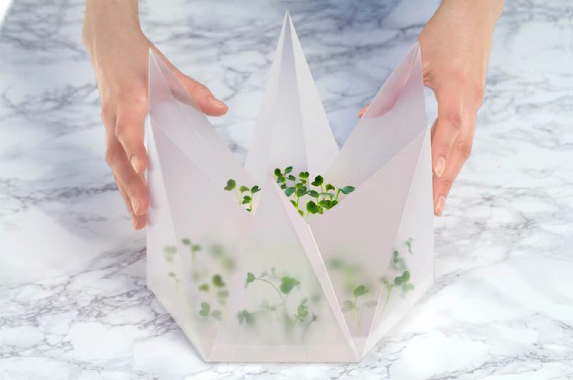 Infarm vertical vegetable garden