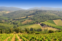 Il Gran giro del Chianti: su e giù nel Chianti in bicicletta