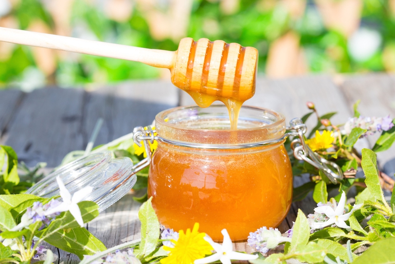 Miele e olio biologici: una sinergia fra api e ulivi