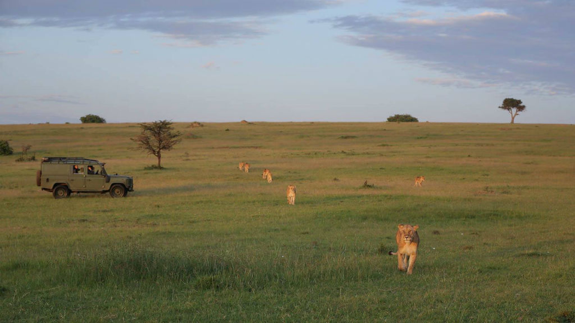 #kenyalive make it kenya