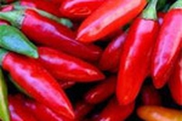 Mille volte peperoncino!