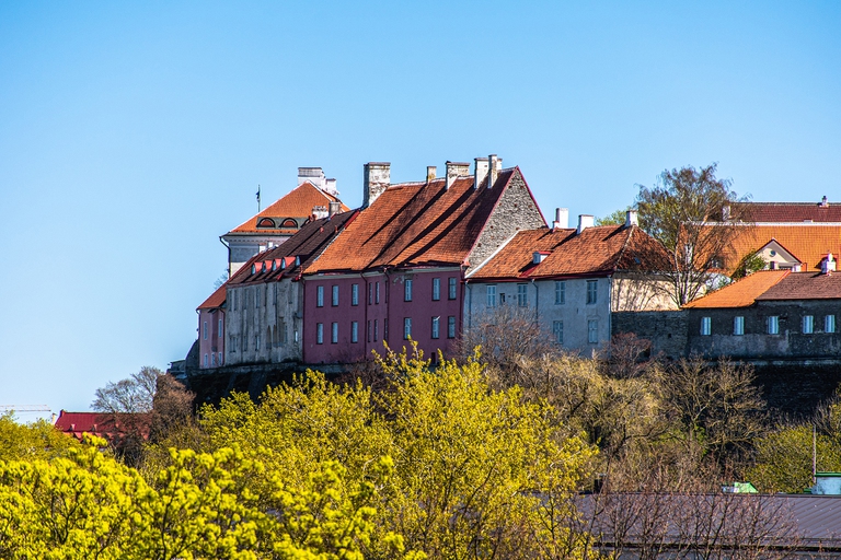 verde pubblico a Tallinn