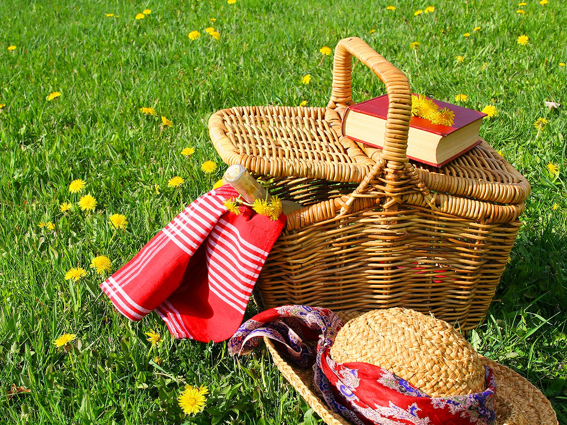 Il picnic all'aperto, una lunga storia di gusto e natura