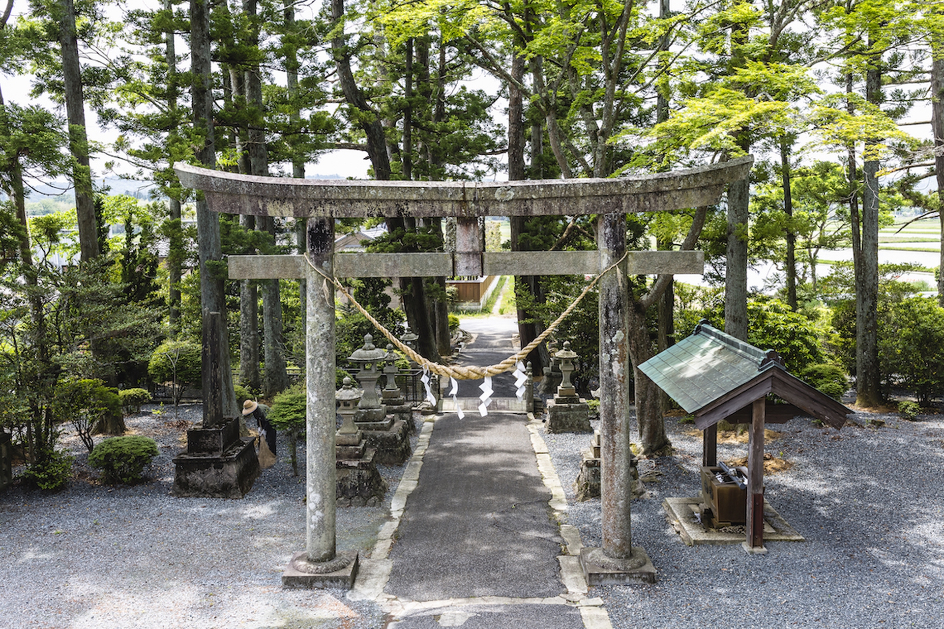 The people of Fukushima. A journey of renewal five years after the disaster