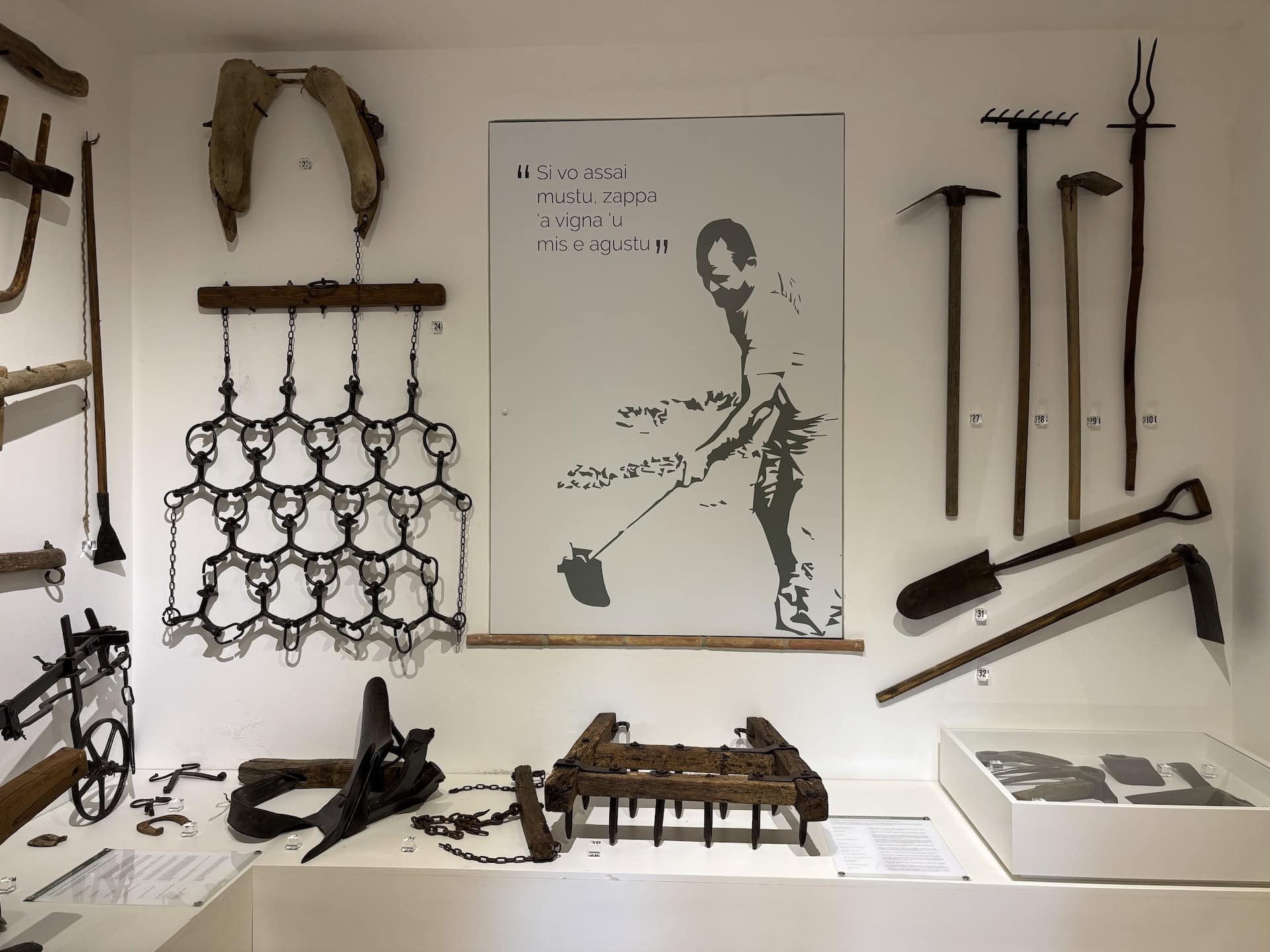 Museo Vites, sala 2, dettaglio