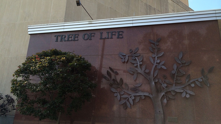 sinagoga tree of life Pittsburgh sparatoria, Pulitzer