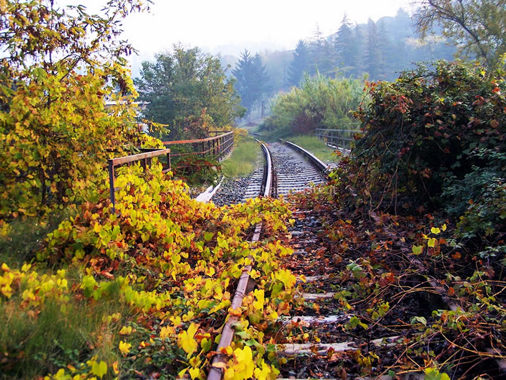 ferrovie dimenticate