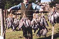 La caccia persino nei parchi?
