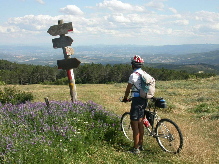 mountain bike foreste casentinesi
