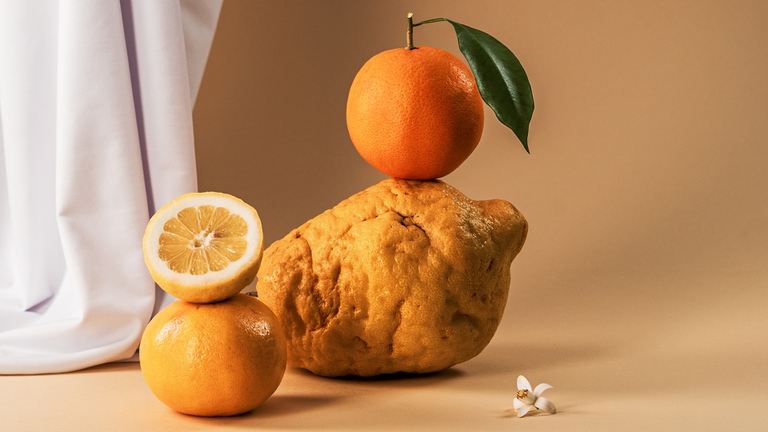 Sei esempi di open innovation con un’attitudine sostenibile 3 orange fiber