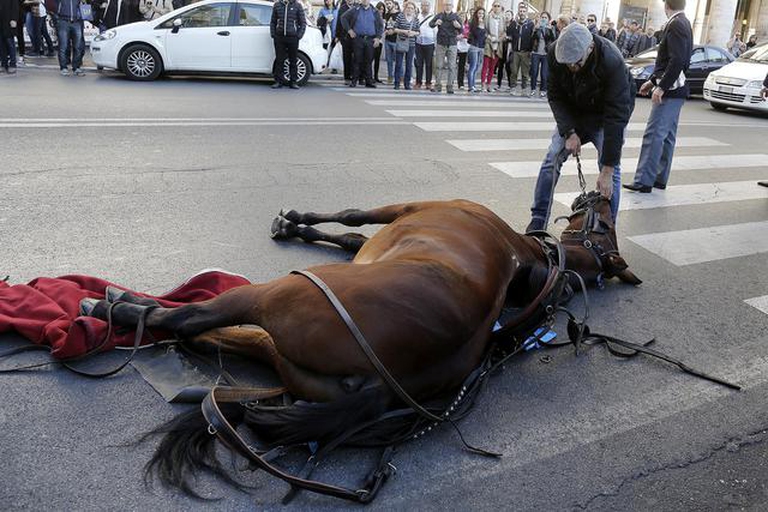 Roma: un cavallo a terra per un malore davanti a Palazzo Chigi