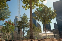La vita rimette radici a Ground Zero