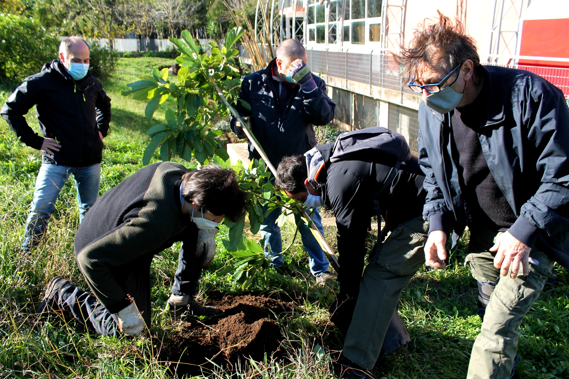 I ragazzi di Alberi in periferia in azione