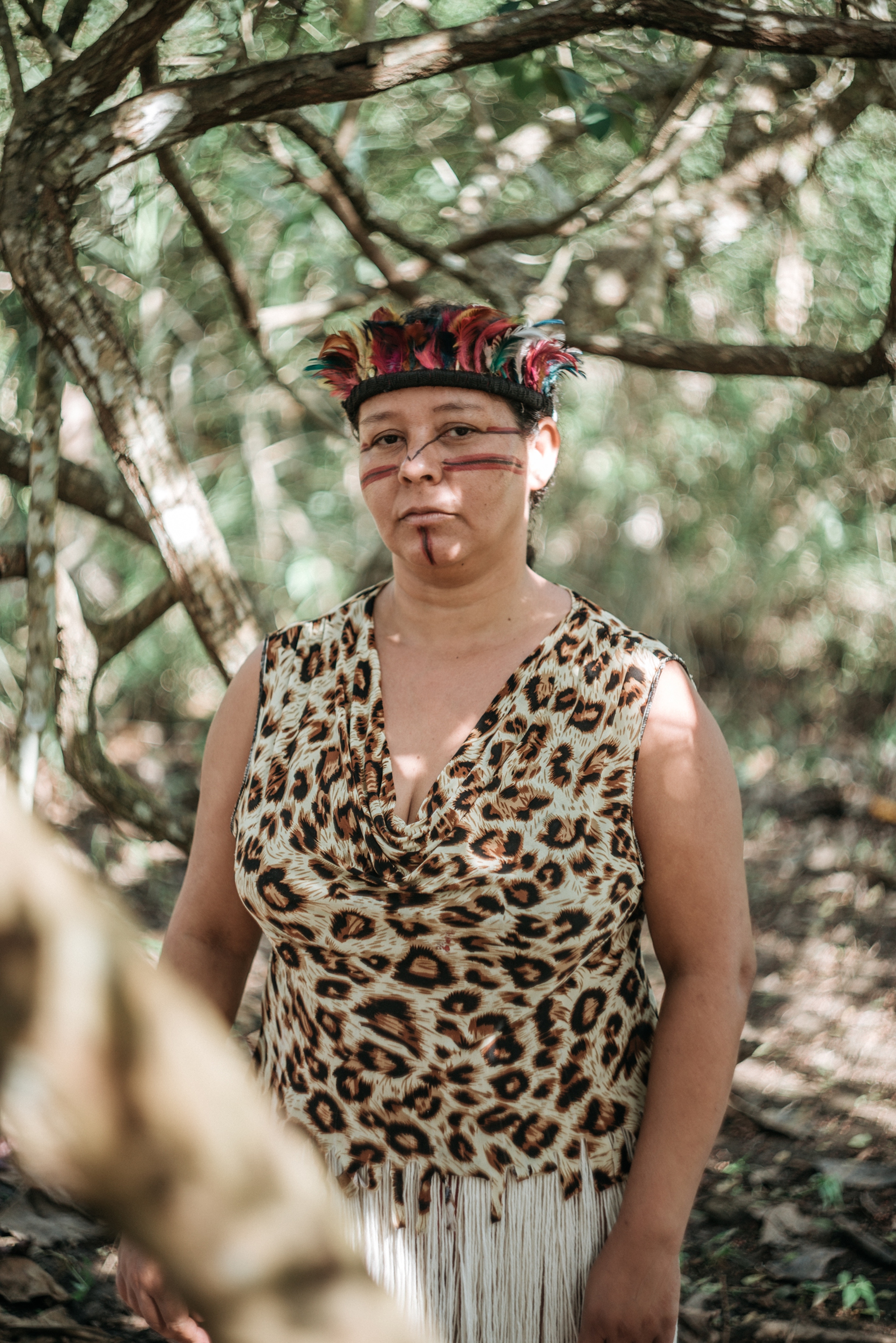 Le tribù della terra indigena di Piaçaguera in Brasile