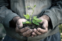 Il modello della rivoluzione verde è esaurito, è ora dell’agroecologia secondo la Fao