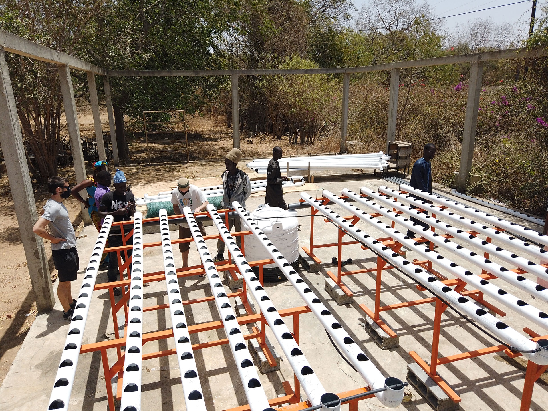 Global impact network