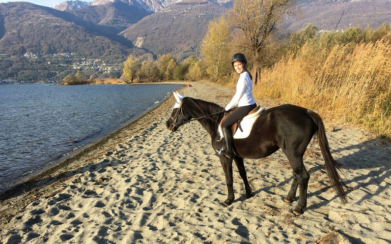 cavalli personalità università di pisa