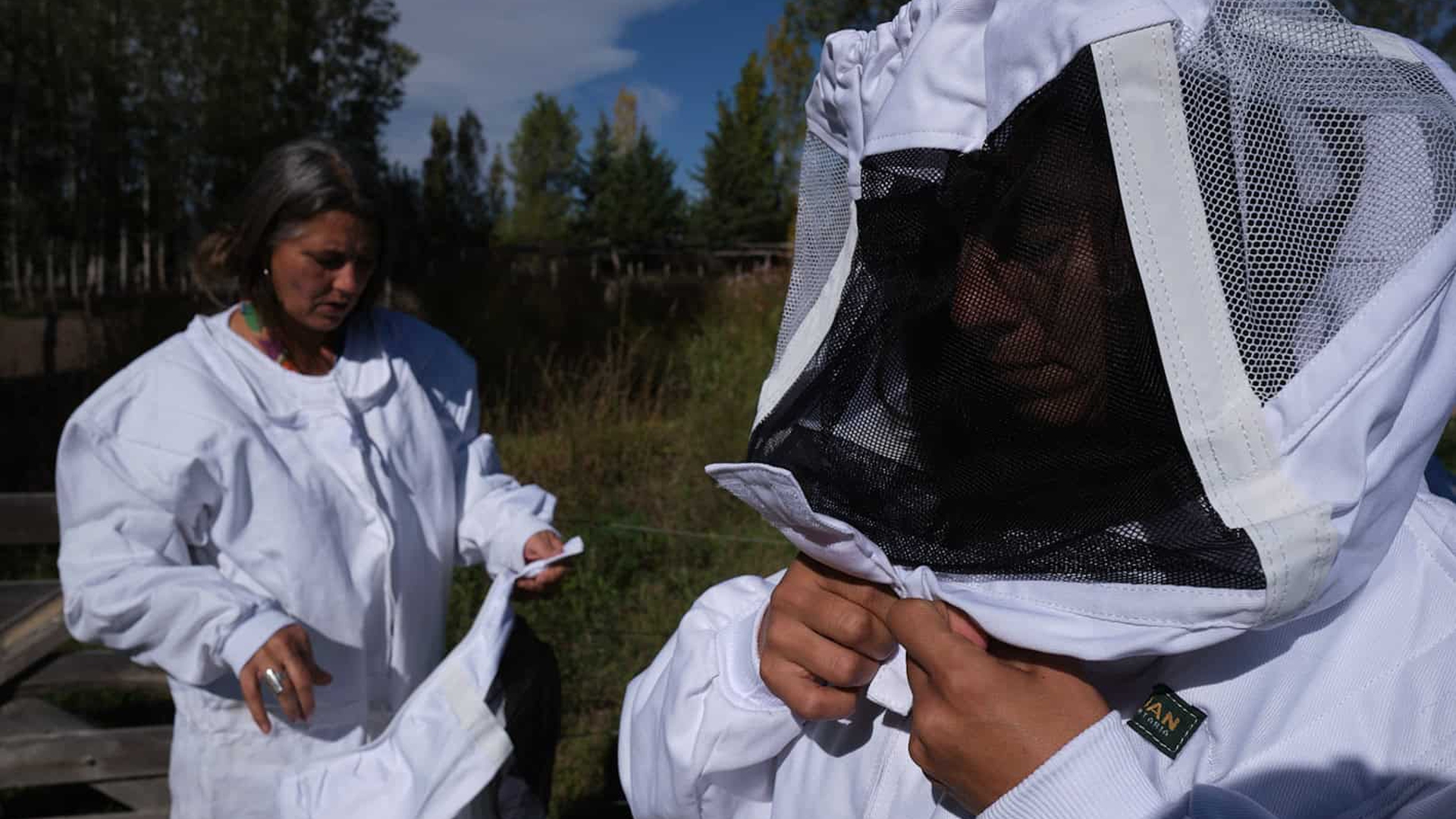 Vino y cambio climatico en Argentina