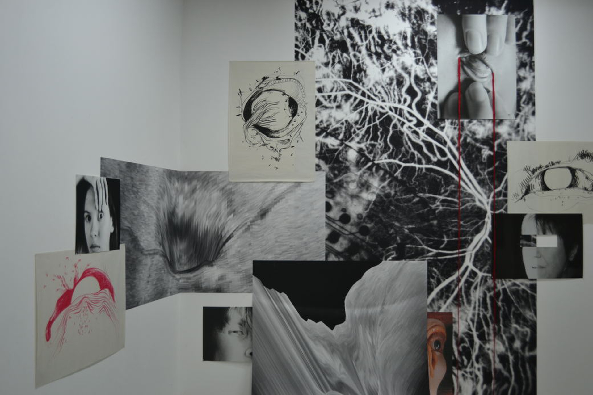 Les rencontres d’Arles, la fotografia internazionale in Provenza