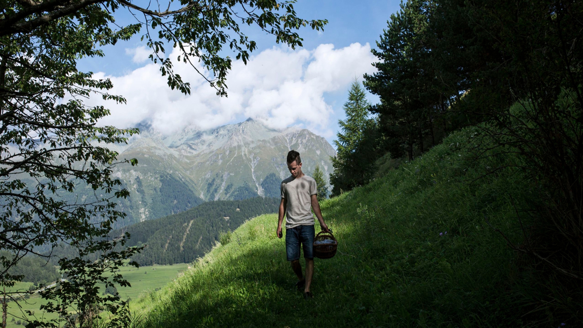 Dal foraging si ricavano preziosi ingredienti da trasformare in piatti gustosi