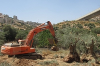Palestina, nel villaggio agricolo dove resistere è sinonimo di esistere