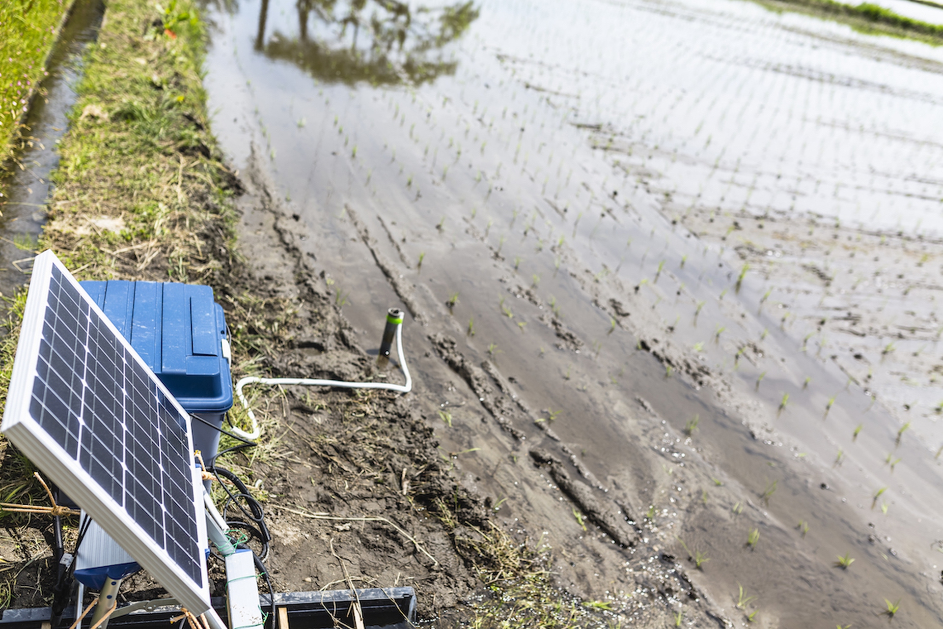The people of Fukushima. A journey of renewal five years after the disaster