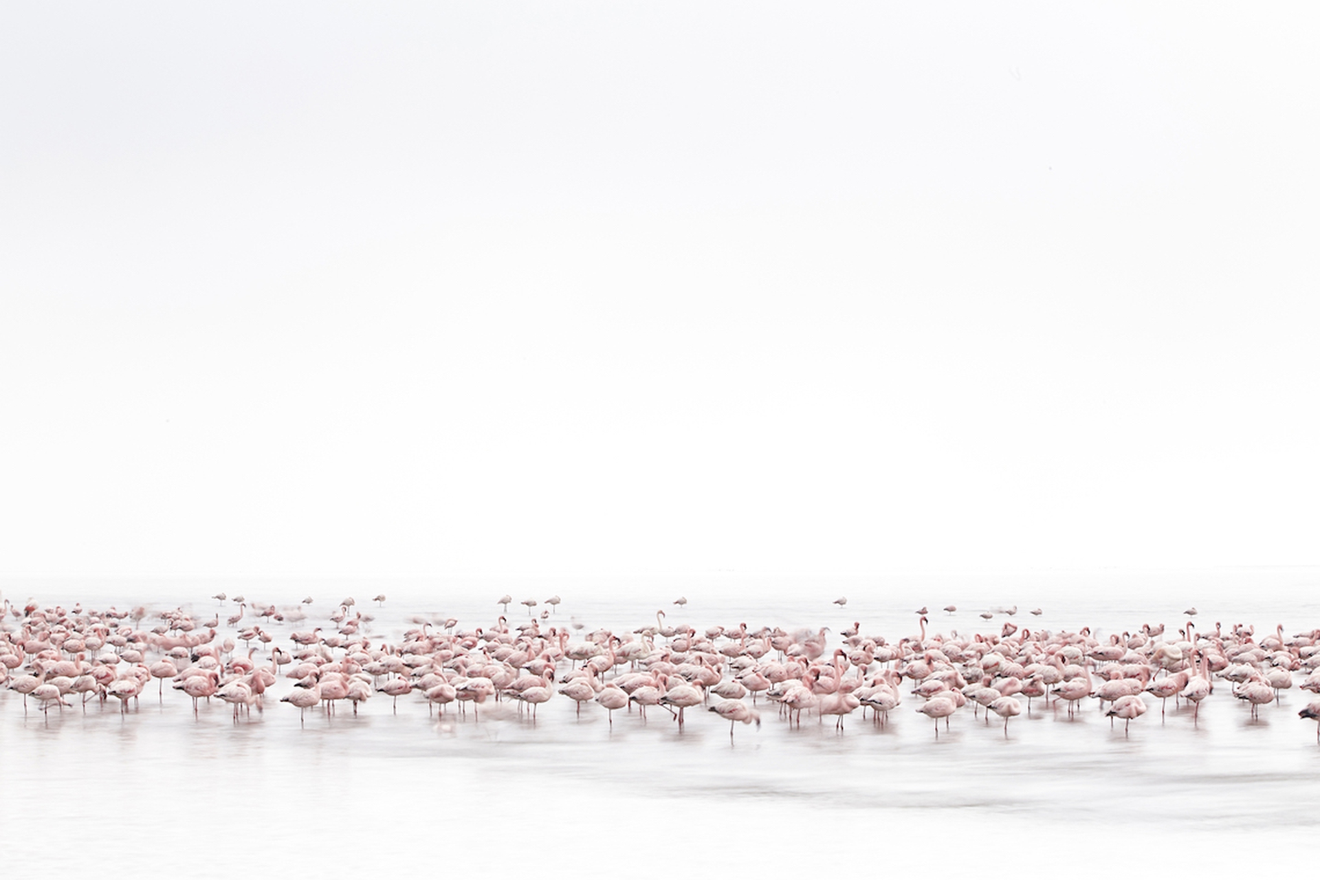 Le foto vincenti dei Sony world photography awards 2017