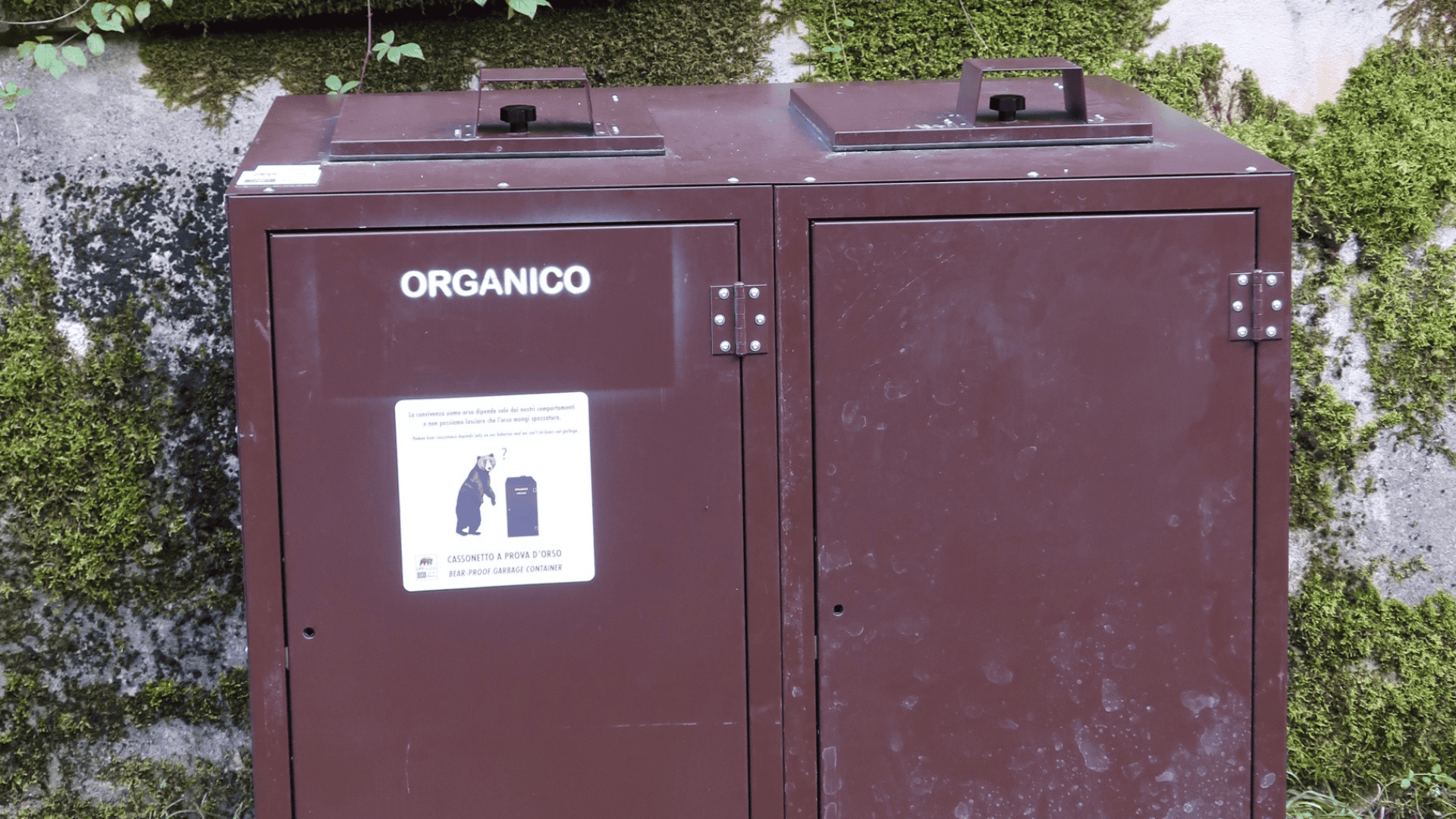 Cassonetto a prova di orso