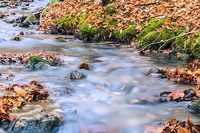 Cosa da fare e vedere nei parchi naturali dell’Abruzzo, a novembre