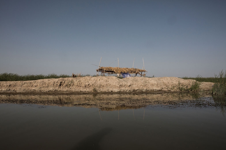 attivisti che difendono Tigri, Eufrate e paludi mesopotamiche in Iraq