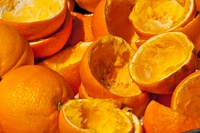 Da scarto a risorsa: 10 startup che hanno ideato soluzioni concrete contro lo spreco alimentare