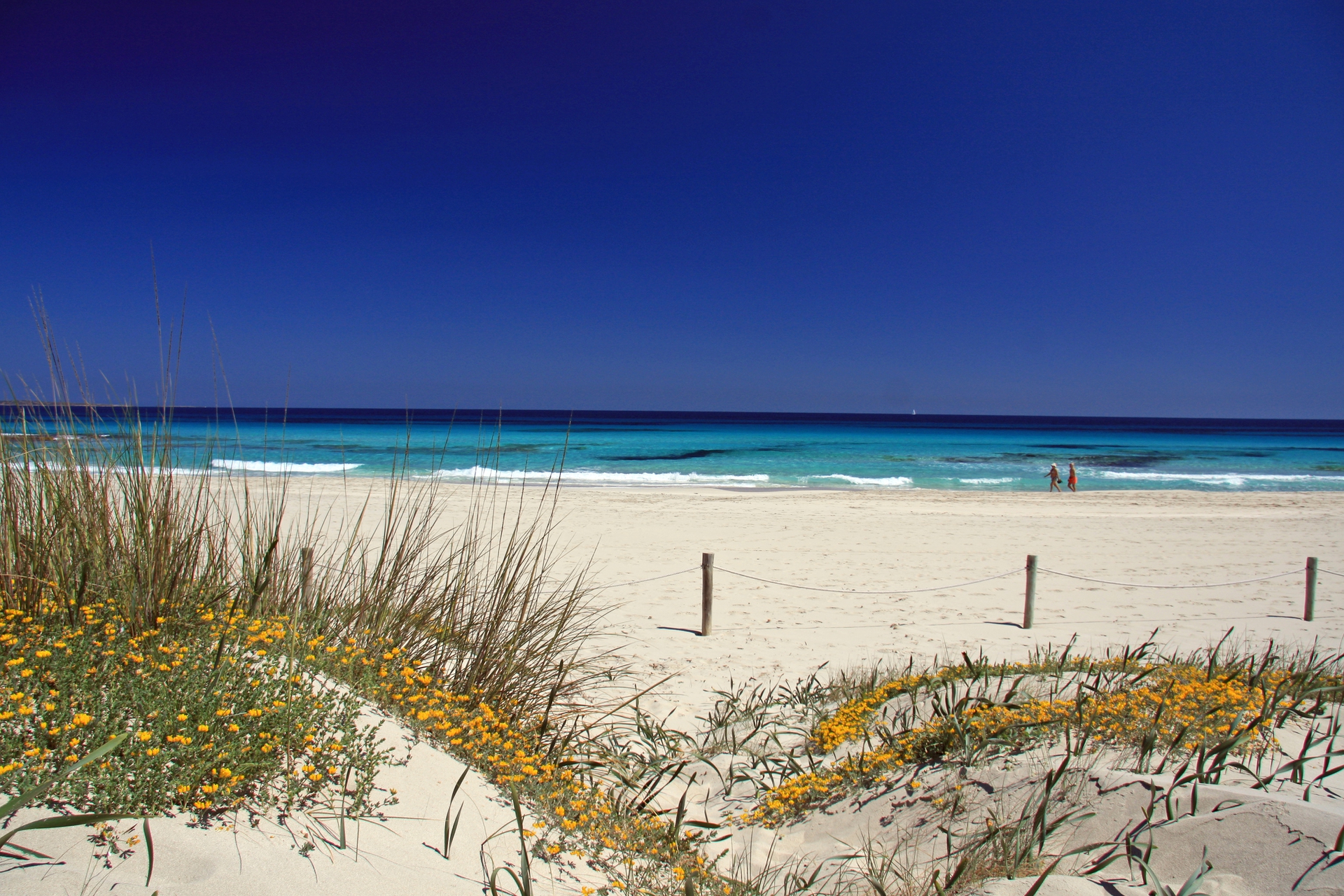 Spiaggi di Llevant formentera