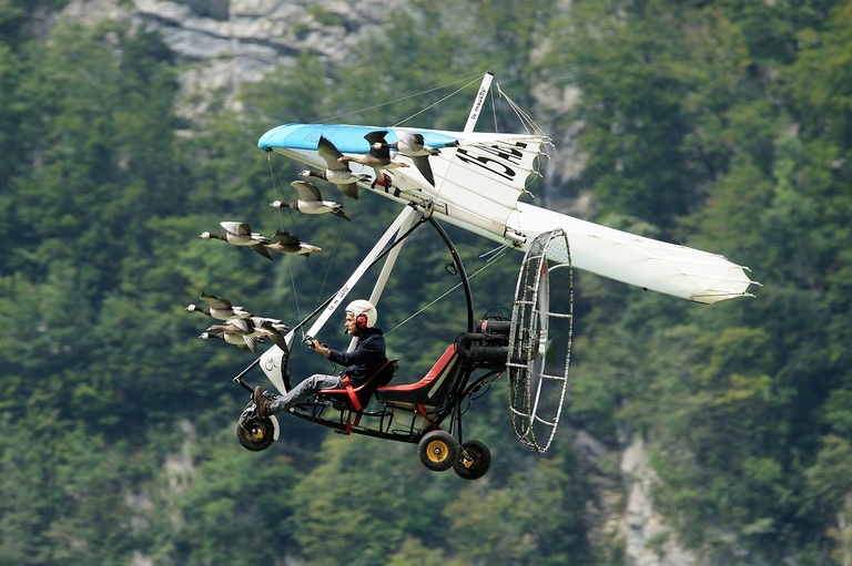 Christian Moullec vola con le oche