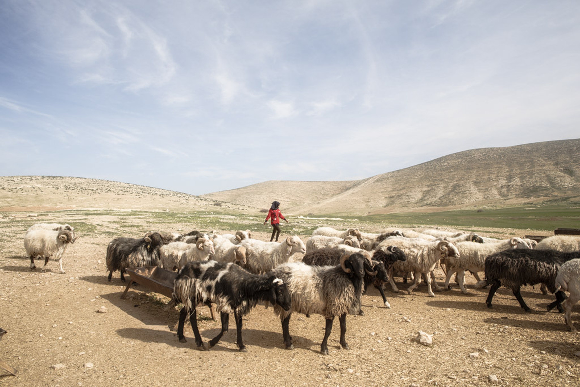 Il water grabbing nel conflitto tra Israele e Palestina