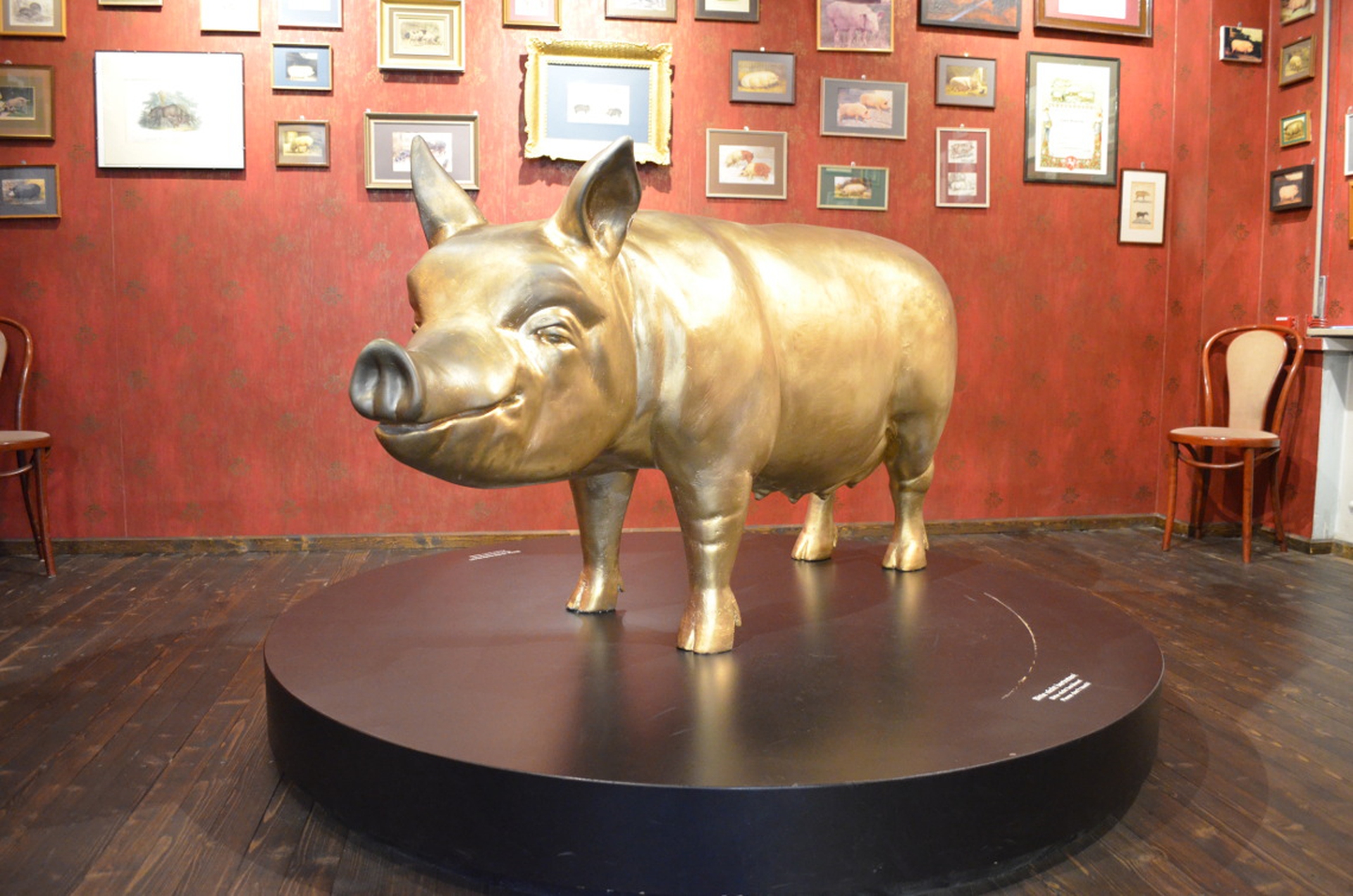 Stoccarda Museo del maiale