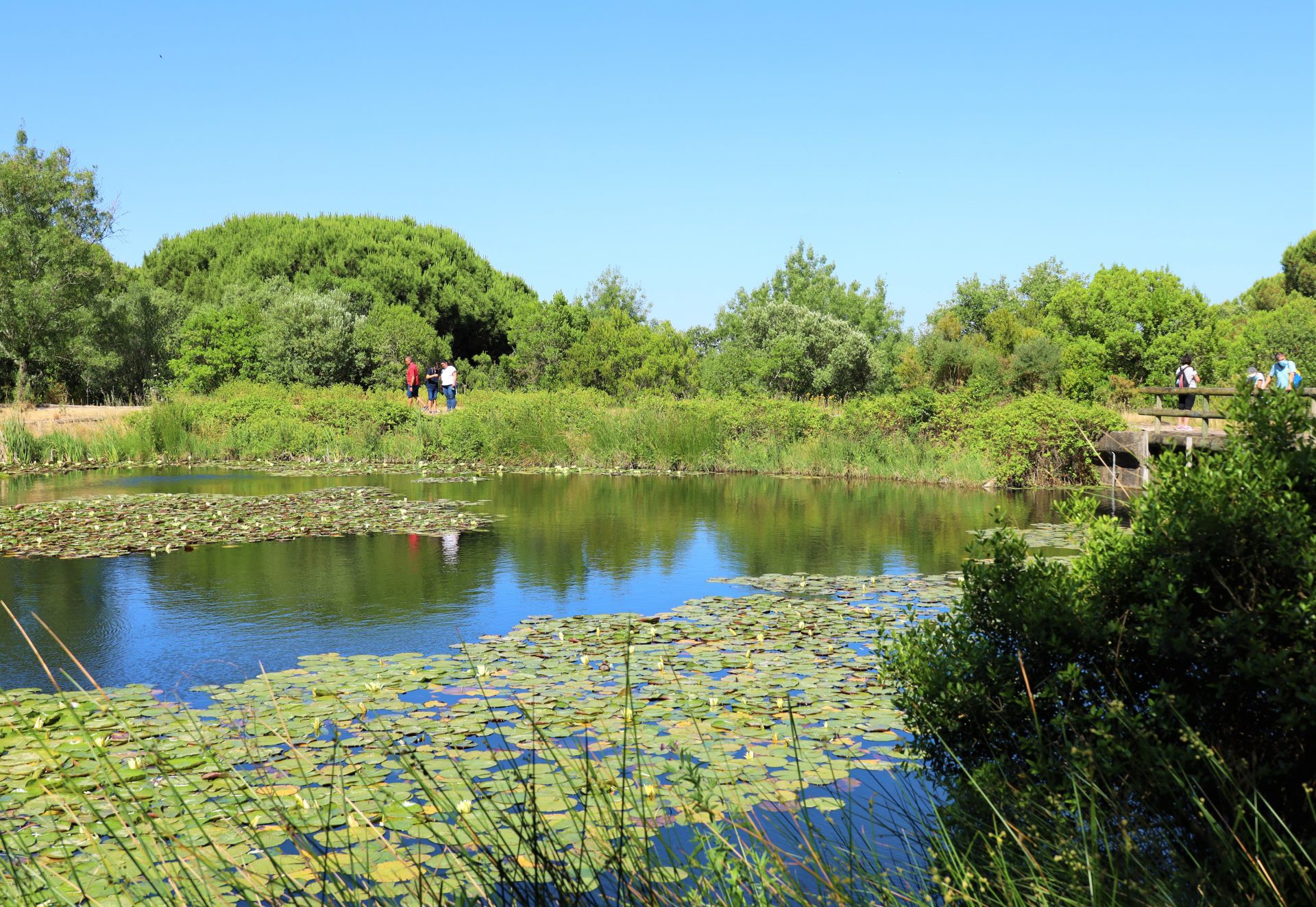 Lago artificiale Lisbona