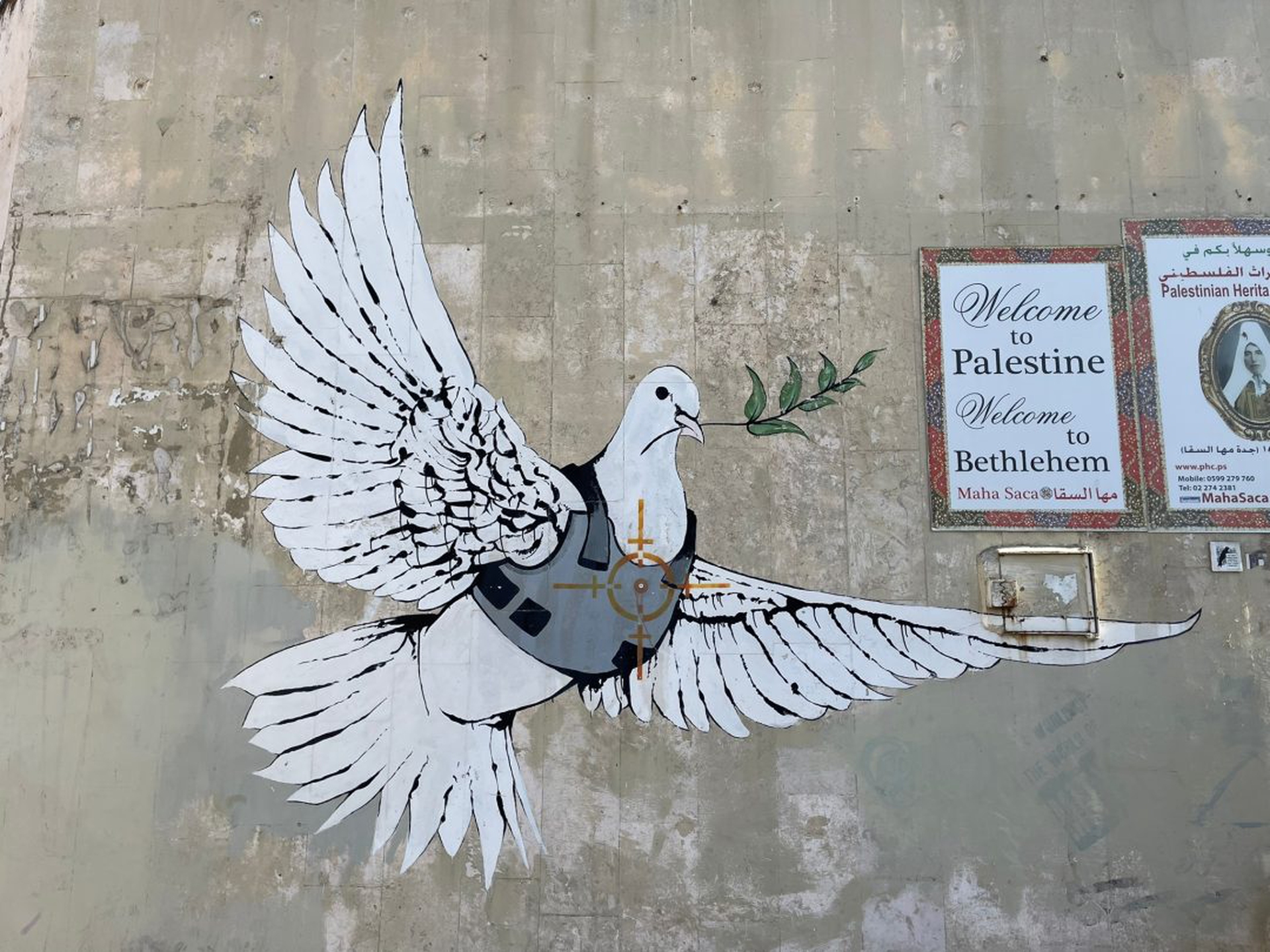 WhatsApp Image 2023-01-03 at 09.44.06