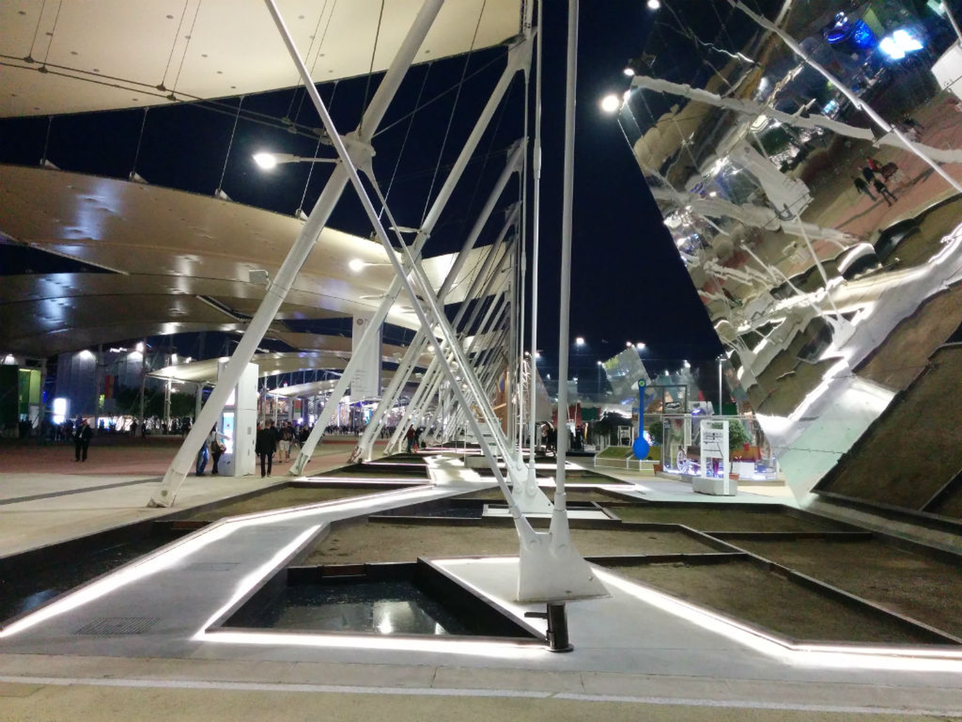 Il riso. Ecco uno dei veri protagonisti di Expo