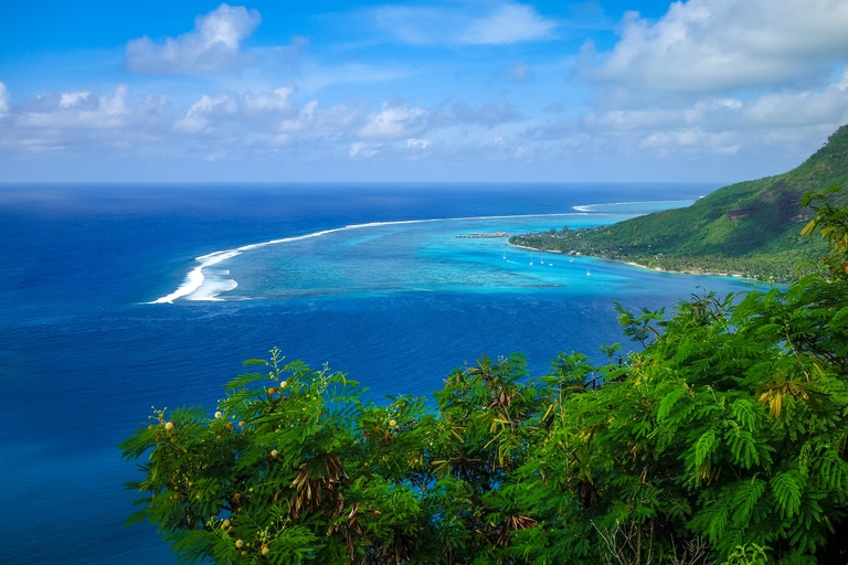 Opunohu lagoon on the island of Moorea
