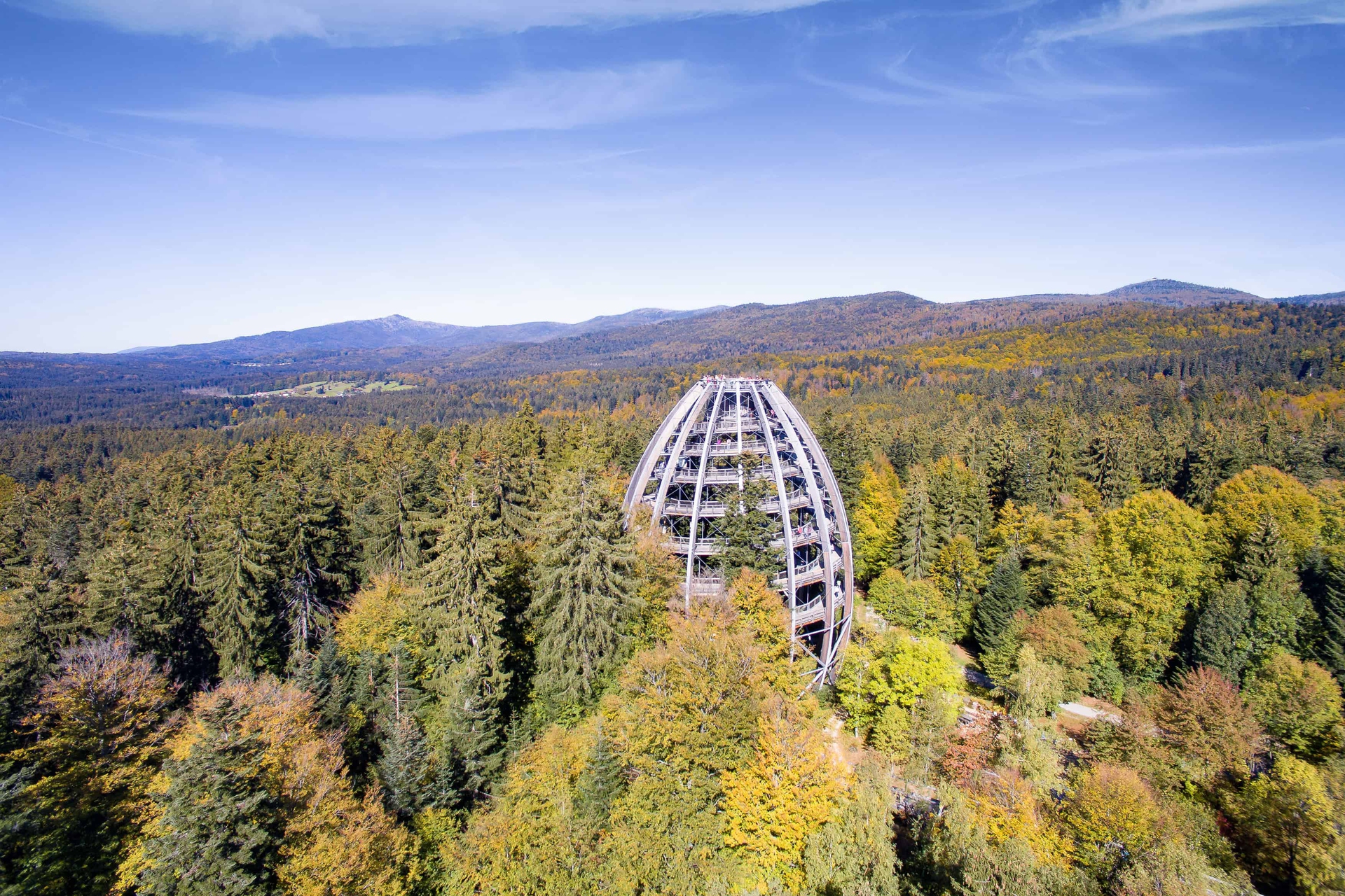 La torre a Neuschönau, Baviera