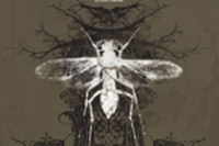 Jason Köhnen – Mutations