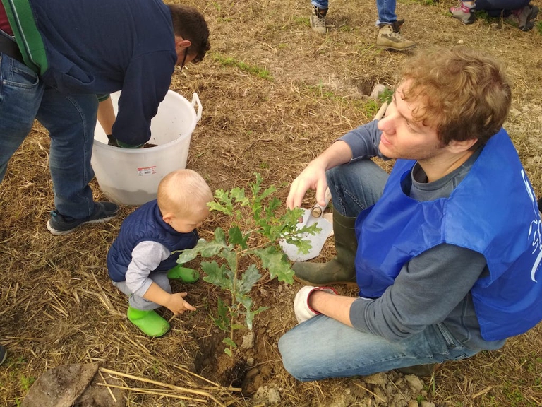spiritus mundi giornata nazionale degli alberi