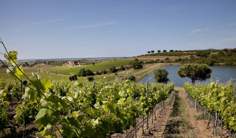 Le cantine più belle della Toscana