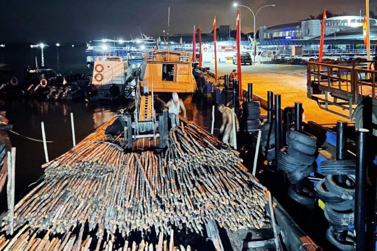 Un carico di mangrovie sequestrato alle isole Riau, in Indonesia